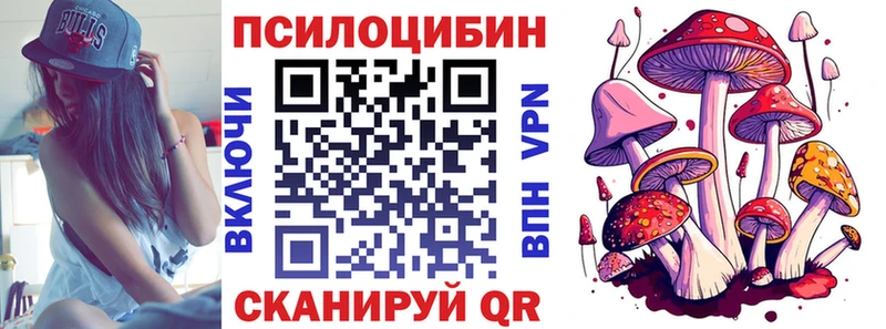 Псилоцибиновые грибы Magic Shrooms  Новодвинск 